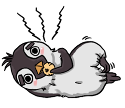penguin dongdong sticker #15823385