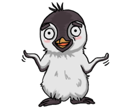 penguin dongdong sticker #15823387