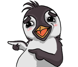 penguin dongdong sticker #15823390