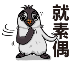 penguin dongdong sticker #15823391