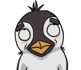 penguin dongdong sticker #15823393
