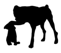 Shadow dogs & cats v.1 sticker #15823961