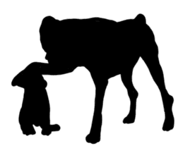 Shadow dogs & cats v.1 sticker #15823961