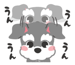 Schnauzer's Jay sticker #15823999