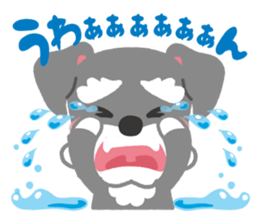 Schnauzer's Jay sticker #15824003