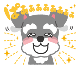 Schnauzer's Jay sticker #15824005