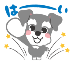 Schnauzer's Jay sticker #15824021