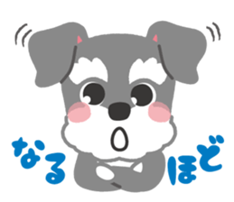 Schnauzer's Jay sticker #15824024