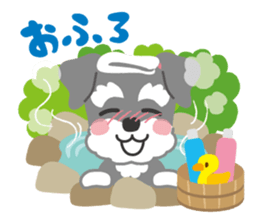 Schnauzer's Jay sticker #15824031