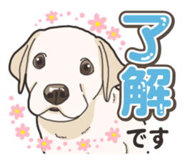 Wanko-biyori puppy Labrador retriever 5 sticker #15824618