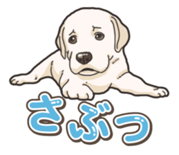Wanko-biyori puppy Labrador retriever 5 sticker #15824620