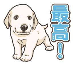 Wanko-biyori puppy Labrador retriever 5 sticker #15824628