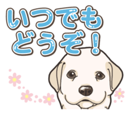 Wanko-biyori puppy Labrador retriever 5 sticker #15824633