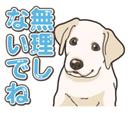Wanko-biyori puppy Labrador retriever 5 sticker #15824635