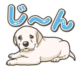 Wanko-biyori puppy Labrador retriever 5 sticker #15824636