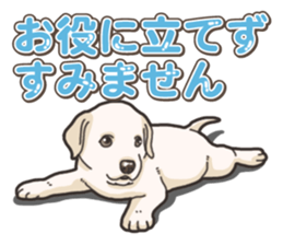 Wanko-biyori puppy Labrador retriever 5 sticker #15824638