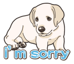 Wanko-biyori puppy Labrador retriever 5 sticker #15824639