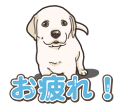 Wanko-biyori puppy Labrador retriever 5 sticker #15824641