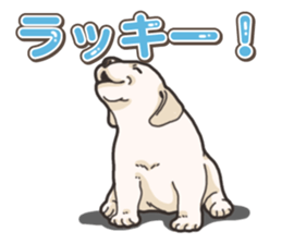 Wanko-biyori puppy Labrador retriever 5 sticker #15824644