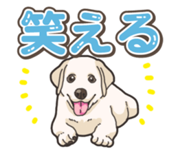 Wanko-biyori puppy Labrador retriever 5 sticker #15824646