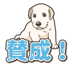 Wanko-biyori puppy Labrador retriever 5 sticker #15824647