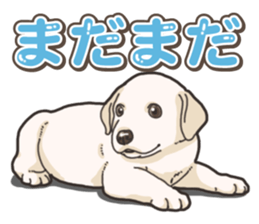Wanko-biyori puppy Labrador retriever 5 sticker #15824648