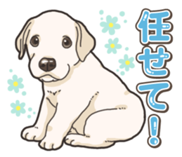 Wanko-biyori puppy Labrador retriever 5 sticker #15824649