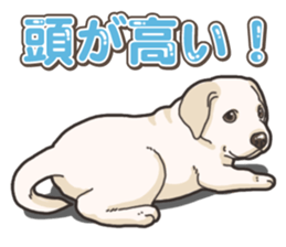 Wanko-biyori puppy Labrador retriever 5 sticker #15824650