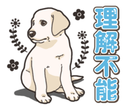 Wanko-biyori puppy Labrador retriever 5 sticker #15824652