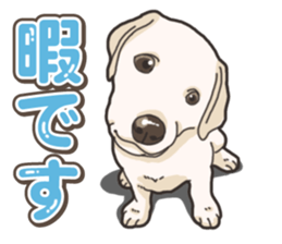 Wanko-biyori puppy Labrador retriever 5 sticker #15824653
