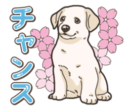 Wanko-biyori puppy Labrador retriever 5 sticker #15824656