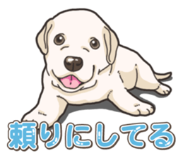 Wanko-biyori puppy Labrador retriever 5 sticker #15824657