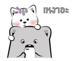 Cat-ty & Bear-ry + sticker #15824916