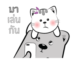 Cat-ty & Bear-ry + sticker #15824923