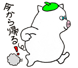 Don Boota sticker #15825231