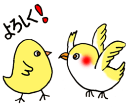 Don Boota sticker #15825236