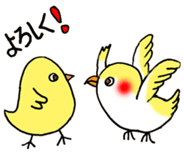 Don Boota sticker #15825236