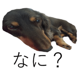 Feeling of Liry sticker #15825410