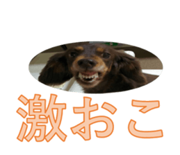Feeling of Liry sticker #15825411