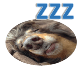Feeling of Liry sticker #15825412