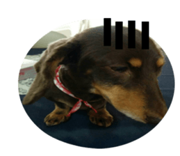 Feeling of Liry sticker #15825415