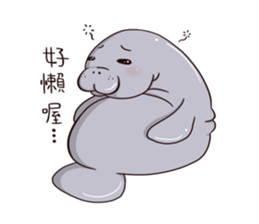 manatee - Nice to meet you sticker #15825751