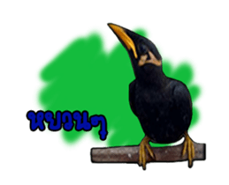 Nok Khunthxng sticker #15826380