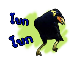 Nok Khunthxng sticker #15826382