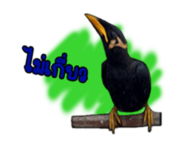 Nok Khunthxng sticker #15826383