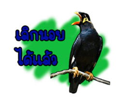 Nok Khunthxng sticker #15826384