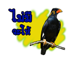 Nok Khunthxng sticker #15826385