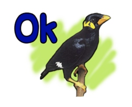 Nok Khunthxng sticker #15826386