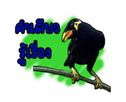 Nok Khunthxng sticker #15826387