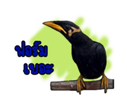 Nok Khunthxng sticker #15826389